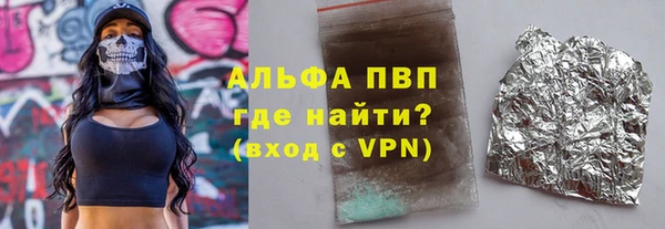 гашик Верея