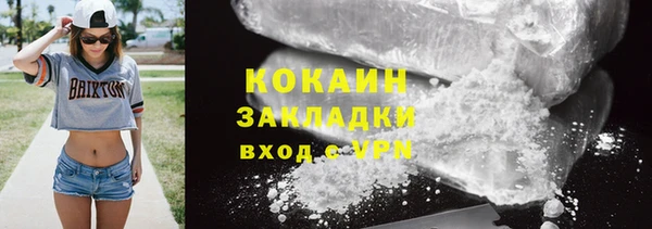 гашик Верея