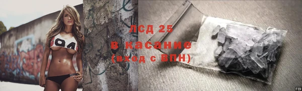 гашик Верея