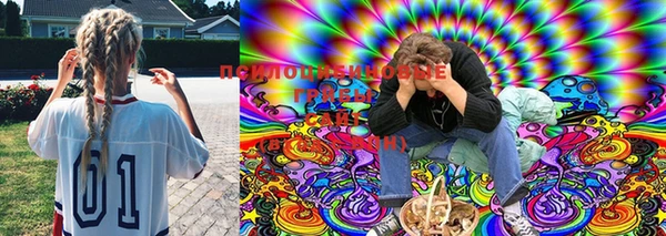 гашик Верея