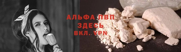 гашик Верея