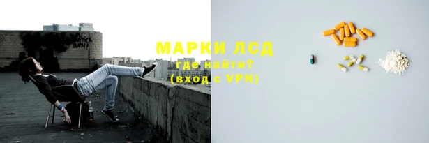 гашик Верея