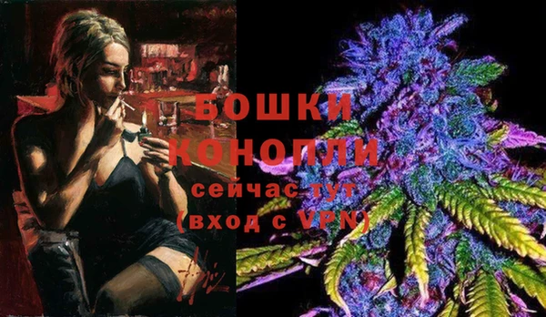 гашик Верея