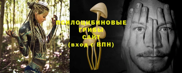 шишки Верхнеуральск