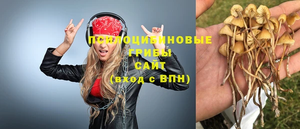 гашик Верея