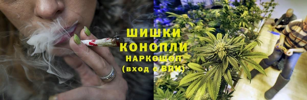гашик Верея