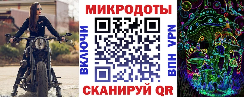 где купить Мурманск блэк спрут как зайти Псилоцибиновые грибы Psilocybine cubensis